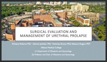 Surgical Evaluation and Management of Urethral Prolapse