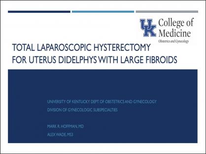 Total laparoscopic hysterectomy for uterine didelphys with large uterine fibroids