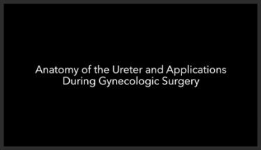 Anatomy of the Ureter and Applications During Gynecologic Surgery