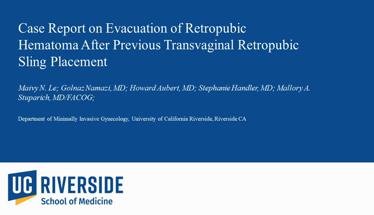 Case Report on Evacuation of Retropubic Hematoma after Previous Transvaginal Retropubic Sling Placem