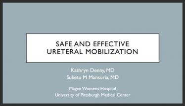 Techniques for Safe and Effective Ureteral Mobilization