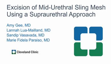Excision of Mid-Urethral Sling Mesh Using a Supraurethral Approach