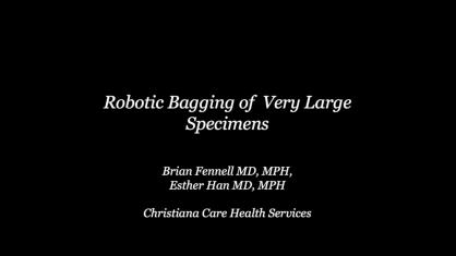 Robotic Bagging of Very Large Specimens