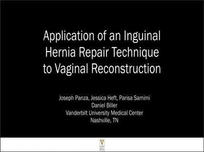 Application of an Inguinal Hernia Repair Technique to Vaginal Reconstruction