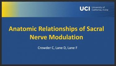 Anatomic Relationships of Sacral Nerve Modulation