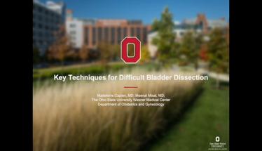 Key Techniques for Difficult Bladder Dissection During Robotic Assisted Total Laparoscopic Hysterect