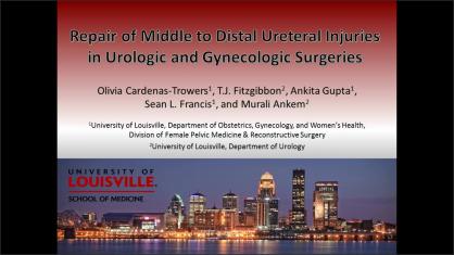 REPAIR OF MIDDLE TO DISTAL URETERAL INJURIES IN UROLOGIC AND GYNECOLOGIC SURGERIES