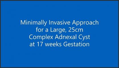 MINIMALLY INVASIVE APPROACH FOR A LARGE, 25CM COMPLEX ADNEXAL CYST AT 17 WEEKS GESTATION