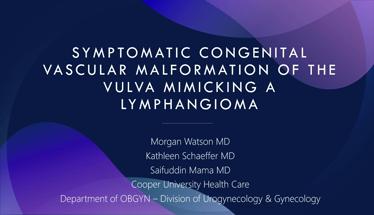 Symptomatic Congenital Vascular Malformation of the Vulva Mimicking a Lymphangioma