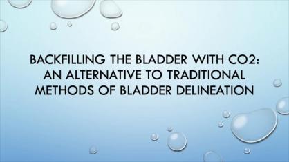 Backfilling the Bladder with CO2: An Alternative to Traditional Methods of Delineating the Bladder