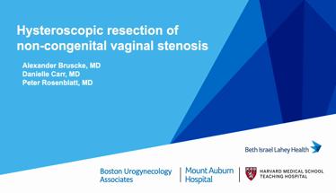 Resection of Non-Congenital Premenopausal Vaginal Stenosis
