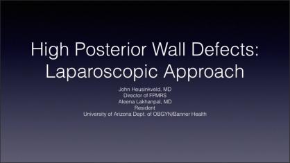 HIGH POSTERIOR WALL DEFECTS: A LAPAROSCOPIC APPROACH