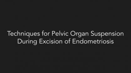 Techniques for Pelvic Organ Suspension During Excision of Endometriosis