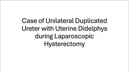Case of Unilateral Duplicated Ureter with Uterine Didelphys during Laparoscopic Hysterectomy