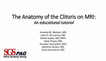 The Anatomy of the Clitoris on MRI: An Educational Tutorial