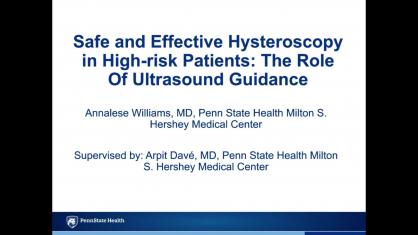 Safe and Effective Hysteroscopy in High-Risk Patients: The Role of Ultrasound Guidance