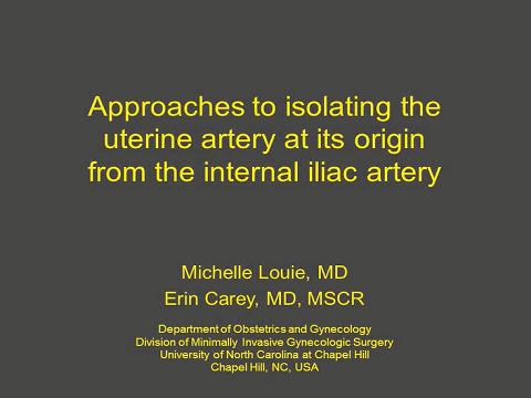 APPROACHES TO ISOLATING THE UTERINE ARTERY AT ITS ORIGIN FROM THE INTERNAL ILIAC ARTERY