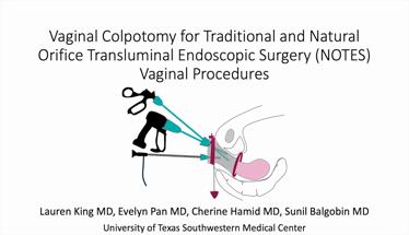 Vaginal Colpotomy for Traditional and Natural Orifice Transluminal Endoscopic Surgery (NOTES) Vagina