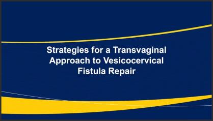 TRANSVAGINAL APPROACH TO VESICOCERVICAL FISTULA REPAIR