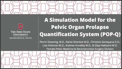 A SIMULATION MODEL FOR THE PELVIC ORGAN PROLAPSE QUANTIFICATION SYSTEM (POP-Q)