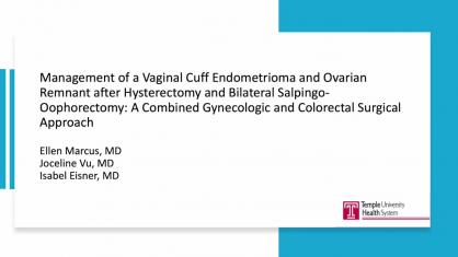 Management of a Vaginal Cuff Endometrioma and Ovarian Remnant After Hysterectomy and Bilateral Salpi