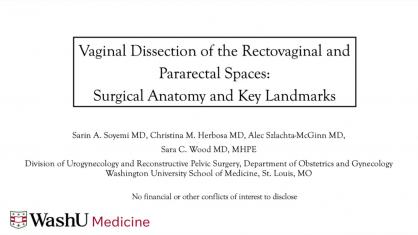 Vaginal Dissection of the Rectovaginal and Pararectal Spaces: Surgical Anatomy and Key Landmarks