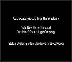 Culdo-Laparoscopic Total Hysterectomy: A Scarless Approach