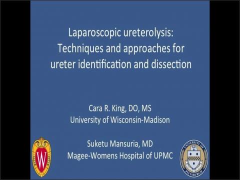 LAPAROSCOPIC URETEROLYSIS: TECHNIQUES AND APPROACHES TO URETER IDENTIFICATION AND DISSECTION