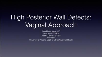 HIGH POSTERIOR DEFECTS: A VAGINAL APPROACH
