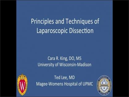 PRINCIPLES AND TECHNIQUES OF LAPAROSCOPIC DISSECTION