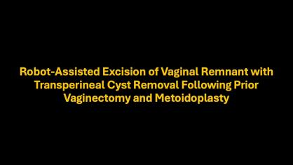 Robot-Assisted Excision of Vaginal Remnant with Transperineal Cyst Removal Following Prior Vaginecto
