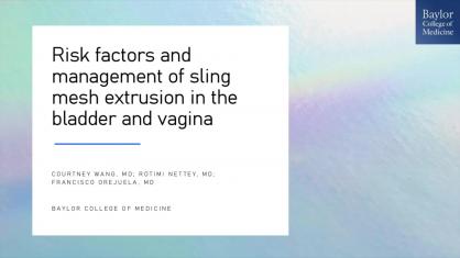 Risk Factors and Management of Sling Mesh Extrusion in the Vagina and Bladder