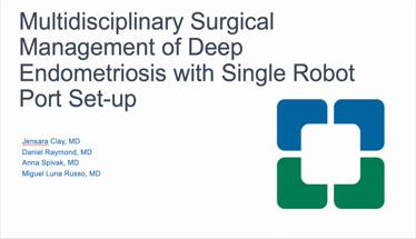 Multidisciplinary Surgical Management of Deep Endometriosis with Single Robot Port Set-up