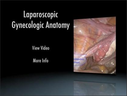 A Novel Teaching Approach to Laparoscopic Gynecologic Anatomy