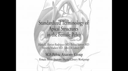 STANDARDIZED TERMINOLOGY OF APICAL STRUCTURES IN THE FEMALE PELVIS
