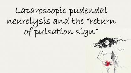 Pudendal Neurolysis and the “Return of Pulsation” Sign