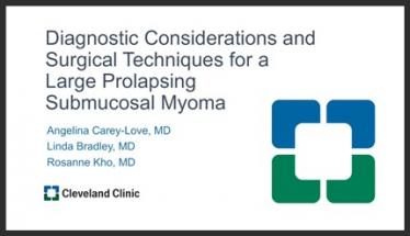 Diagnostic Considerations and Surgical Techniques for a Large Prolapsing Submucosal Myoma